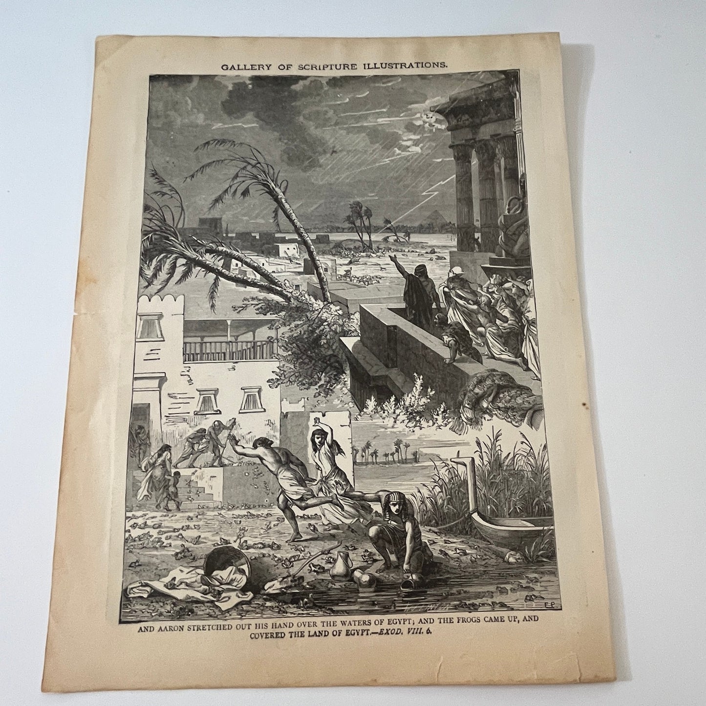 Exodus VII 10 and VIII. 6 1892 Bible Engraving SV1-6