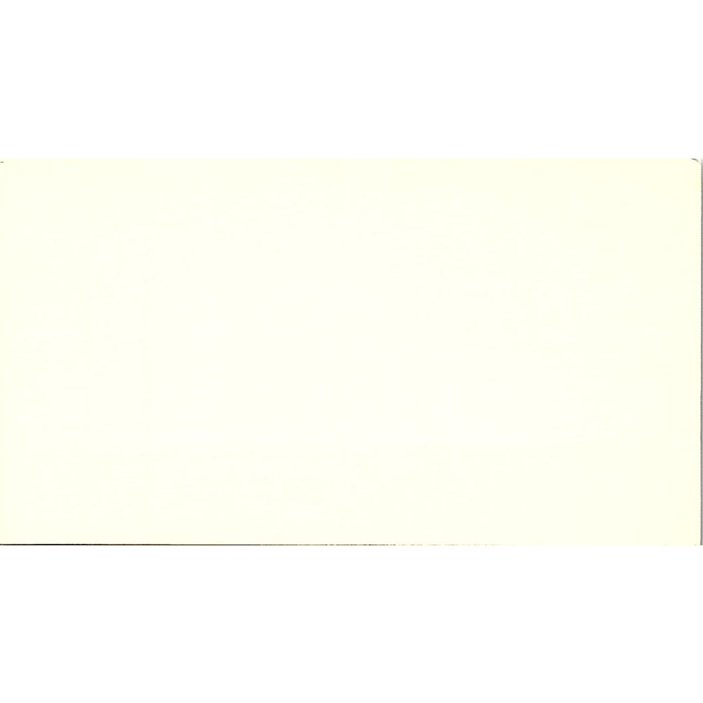 India House Importers & Exporters Raghbir Singh Houston TX Business Card SF3-B4