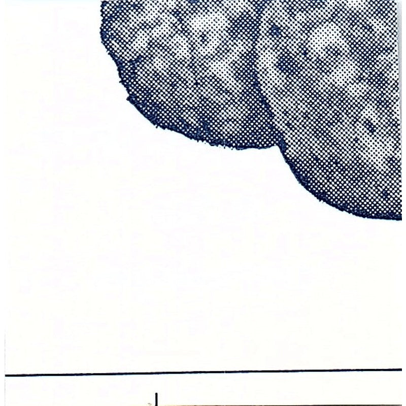 Gregory A Lauer & Son Contractors Fort Wayne Indiana 1964 Ad AG1-S15