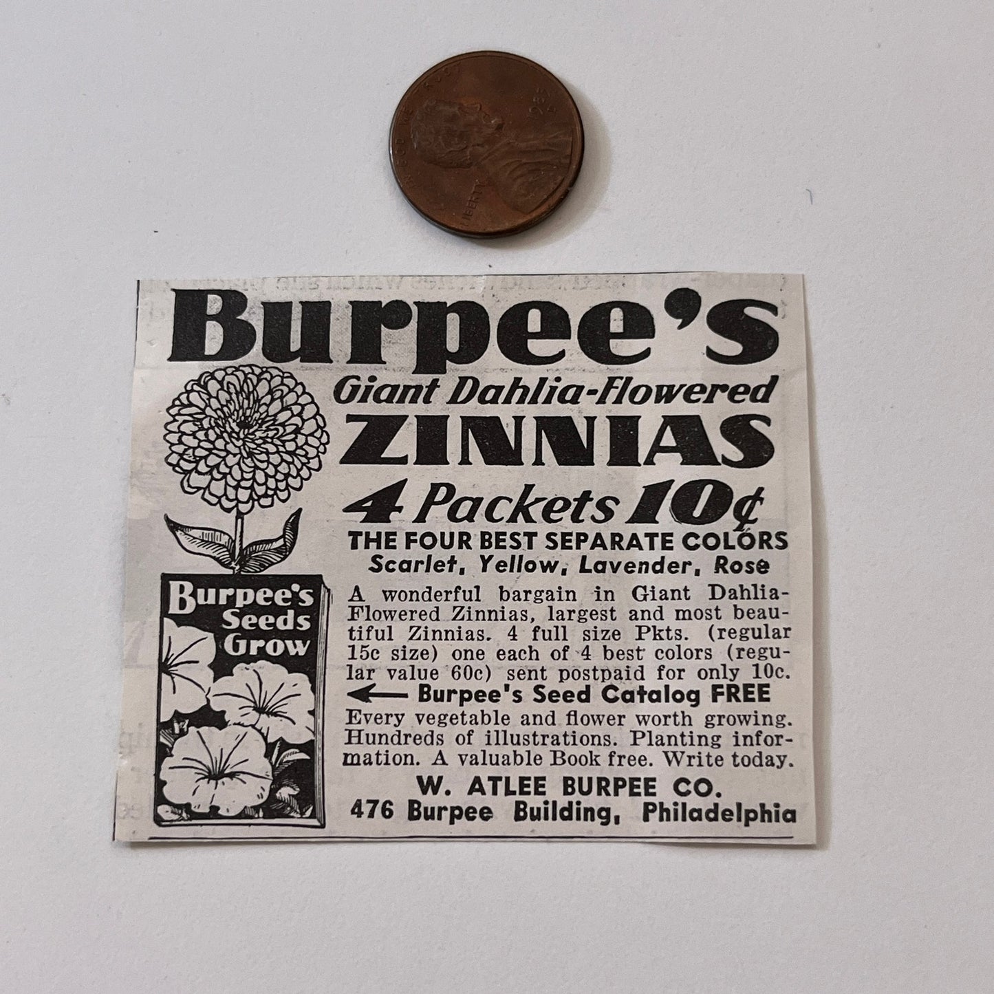 W. Atlee Burpee Co. Burpee's Giant Zinnias Philadelphia PA 1936 Ad SAG4-M4