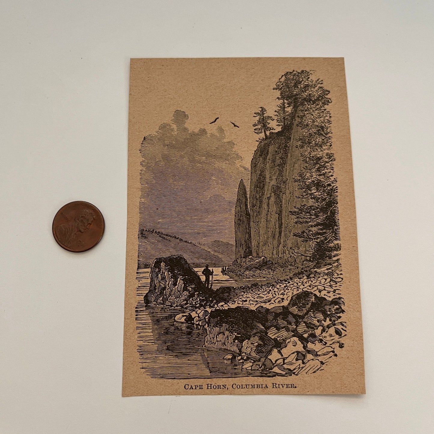 Cape Horn, Columbia River 1894 Art Engraving SAG4-8