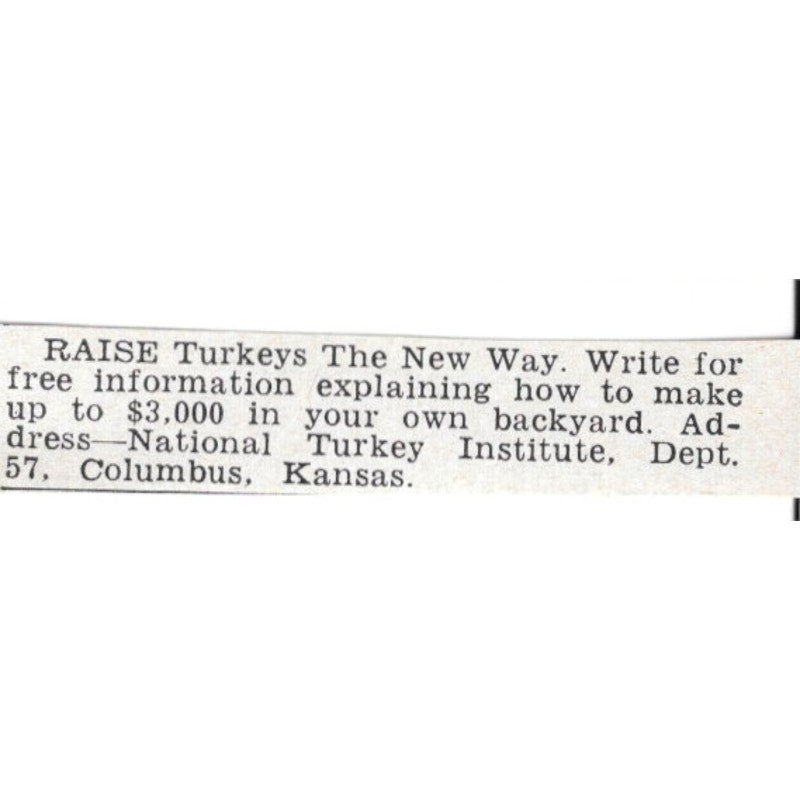 Raise Turkeys The New Way - National Turkey Institute Columbus KS 1955 Ad AG1-S6