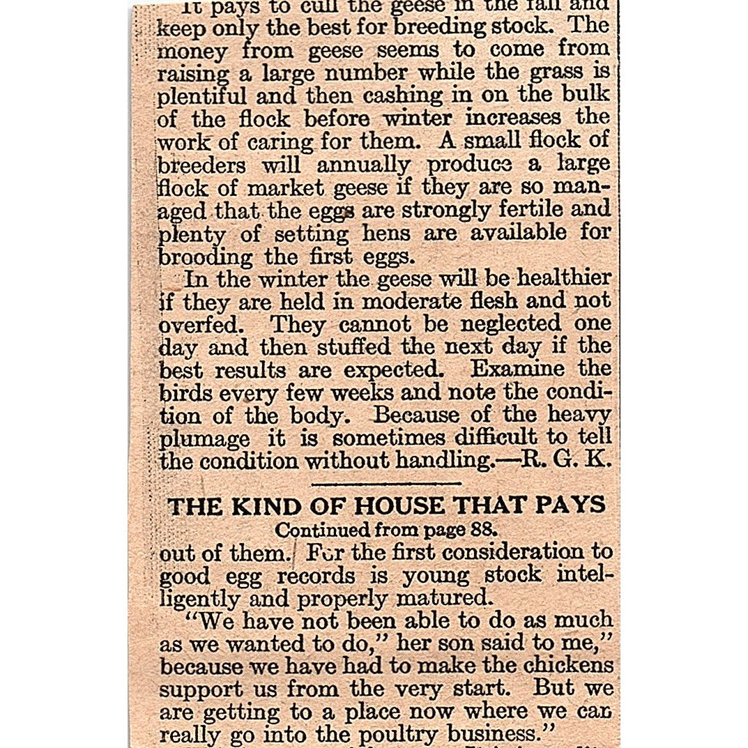 Conkey's Roup Remedy The G.E. Conkey Co Cleveland OH 1920 Ad AG2-M2