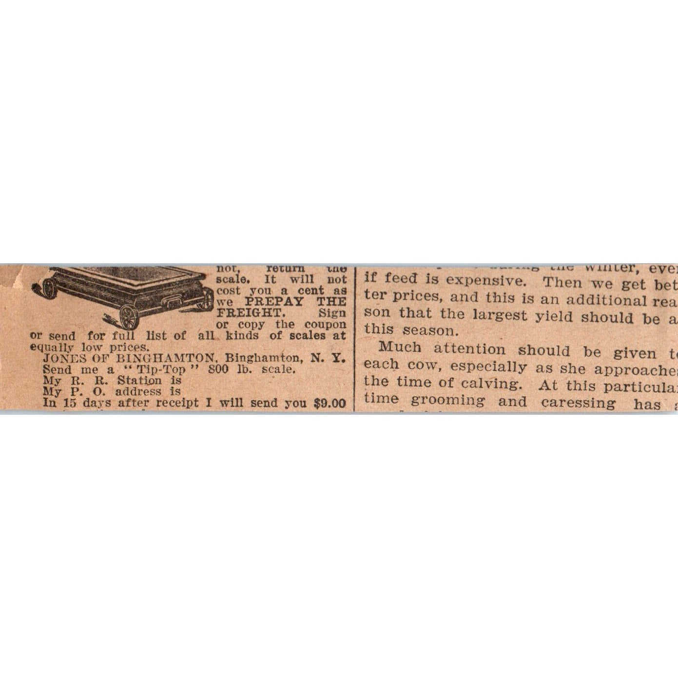 Joseph Harris Co Seed Growers Coldwater NY 1905 Magazine Ad AF1-NH3