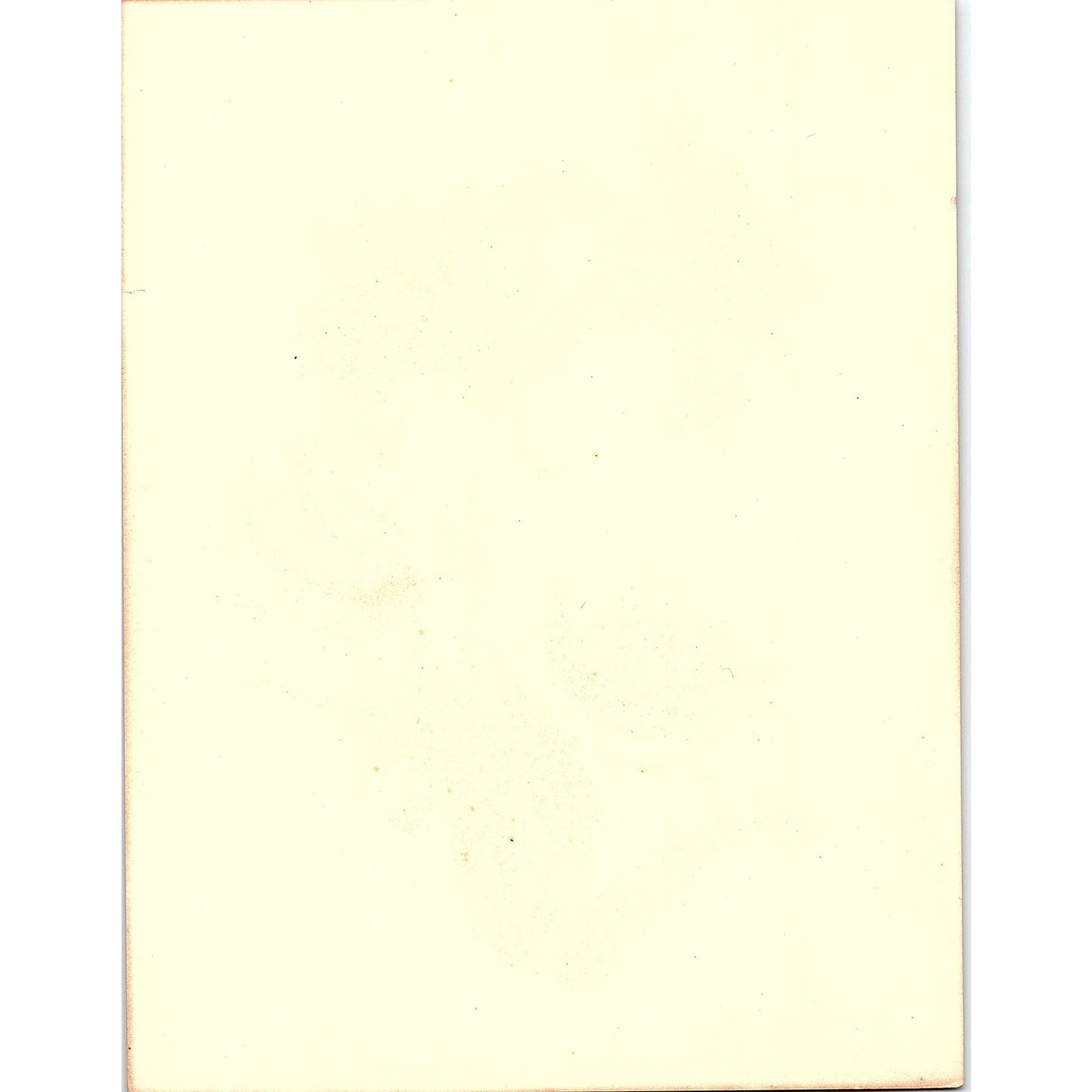 Poppy Lily Flower E A Séguy Wall Art Floral Lithograph Art Print 6x8 V4