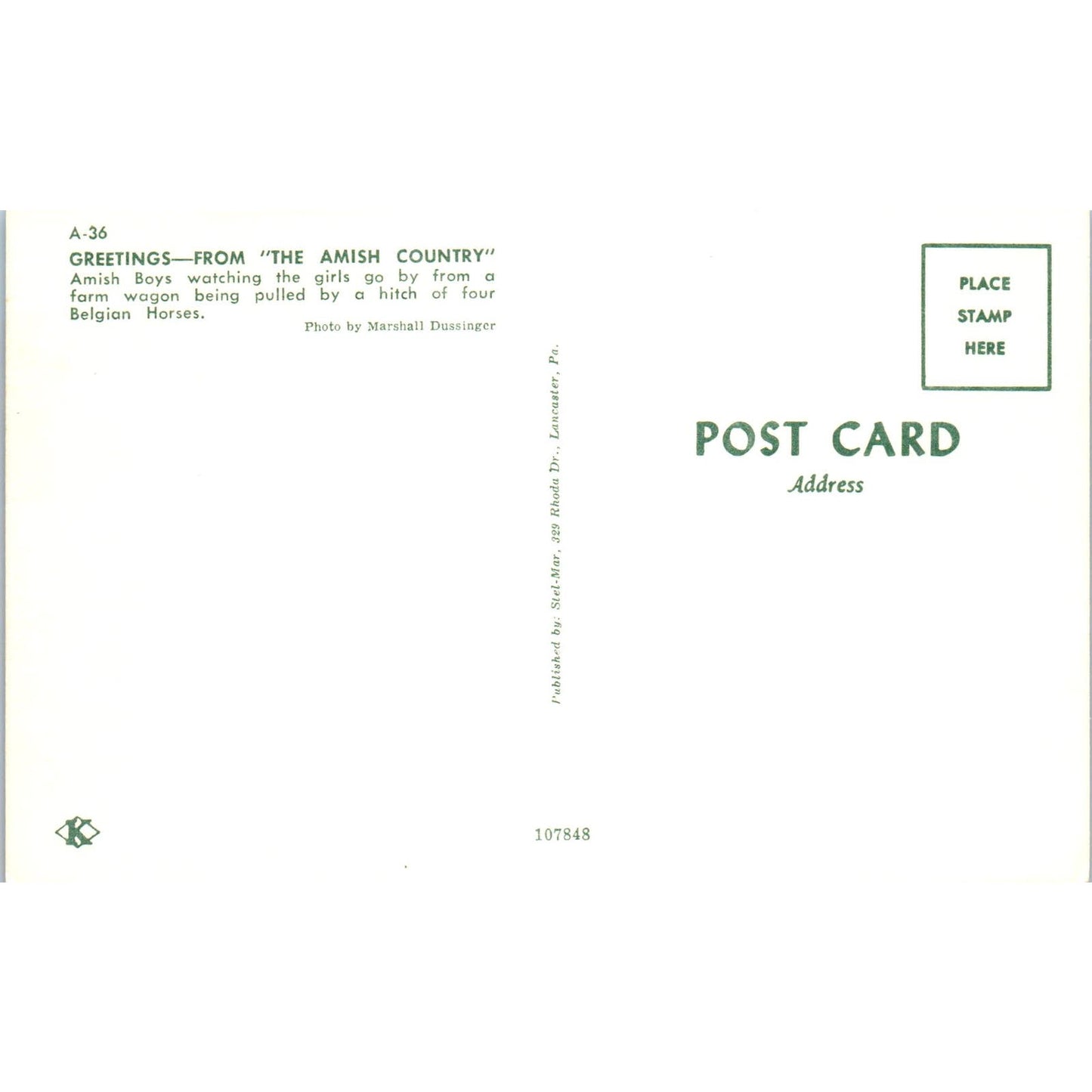 Amish Girls Pulled in Farm Wagon Pennsylvania Dutch Country Postcard PD7