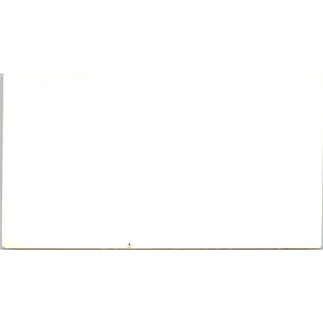 Joe DeBeck Dog Trainer Long Beach CA Vintage Business Card SD8-B15