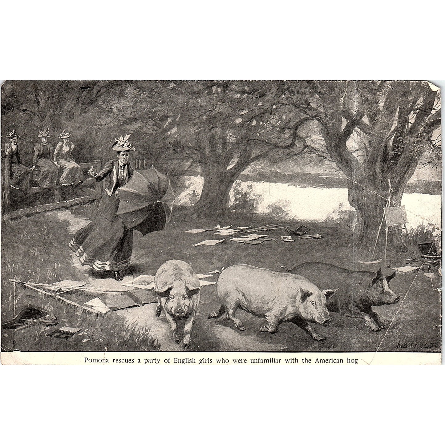 Pomona Rescues English Girls American Hog A.B. Frost Vintage Art Print 3x5 V12