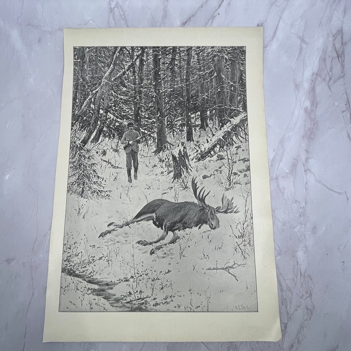 The Bull Moose - Hunting - Original 1904 A.B. Frost Art Print V14-3