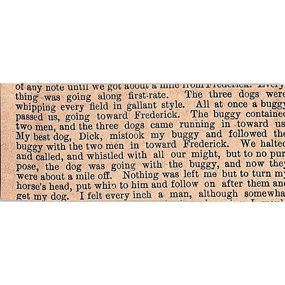 American Athletic Club Officer Election John Gath 1878 Article AG2-S15