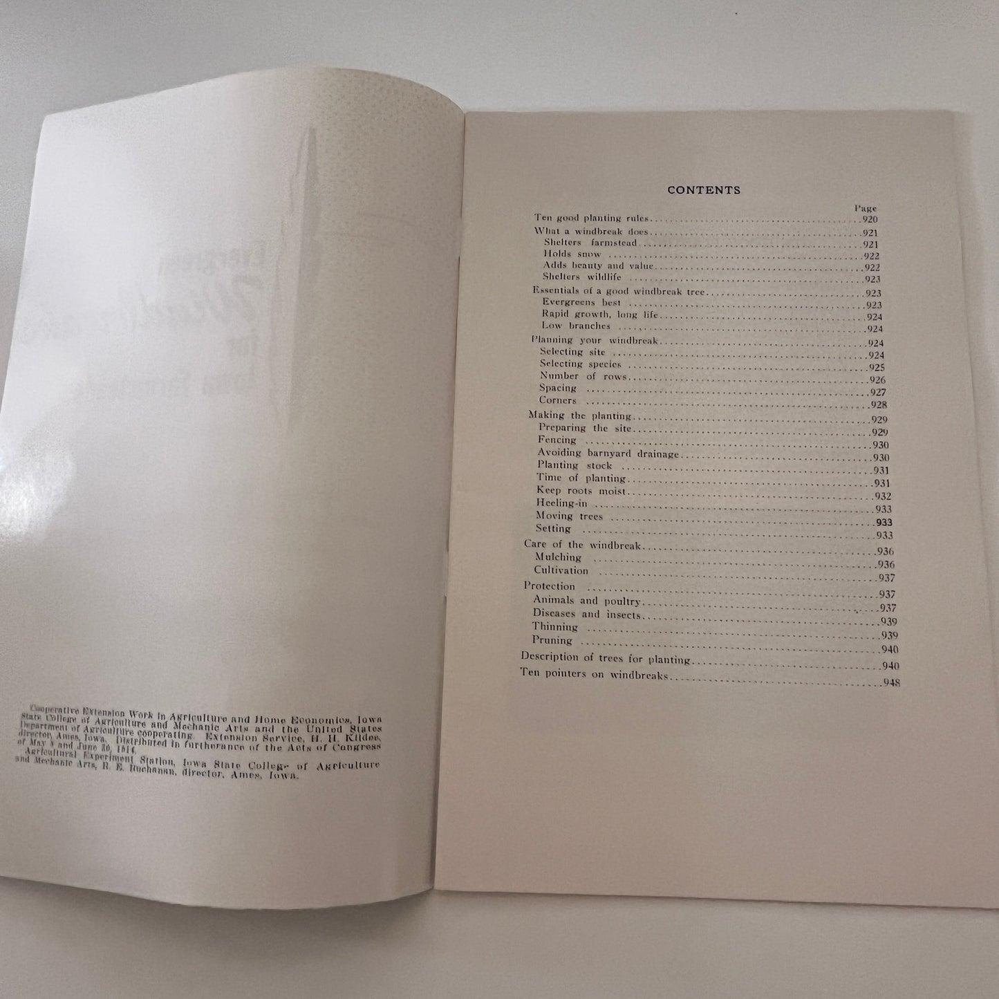 Evergreen Windshields for Iowa Farmsteads 1948 Ames IA Farm Bulletin TK2-XB5