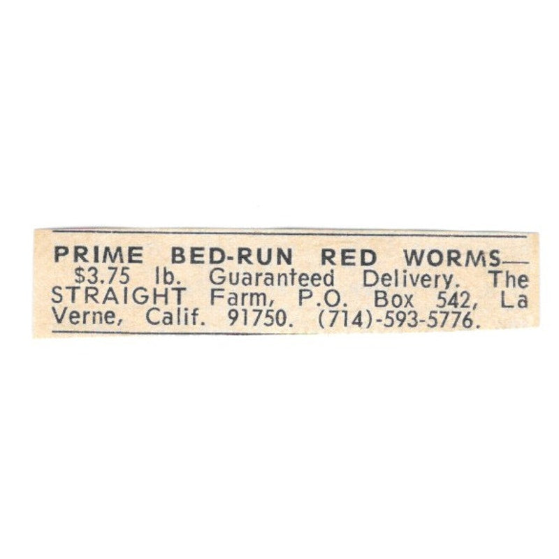 Prime Bed-Run Red Worms The Straight Farm La Verne CA 1977 Ad AF6-S5