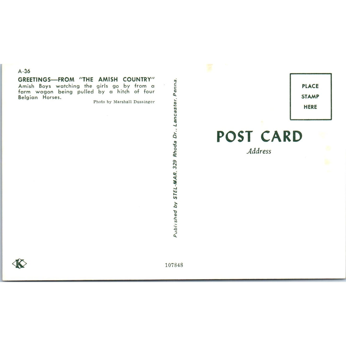 Amish Wagon With Four Belgian Horses Pennsylvania Dutch Country Postcard PD7