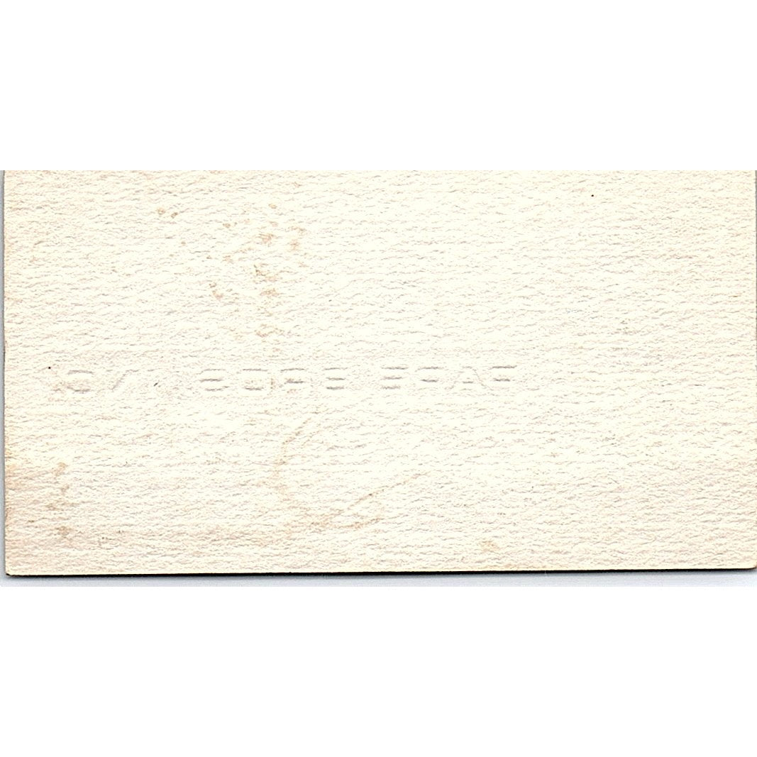 Pape Cat Skip Lochner Coos Bay Oregon Vintage Business Card SB4-B4