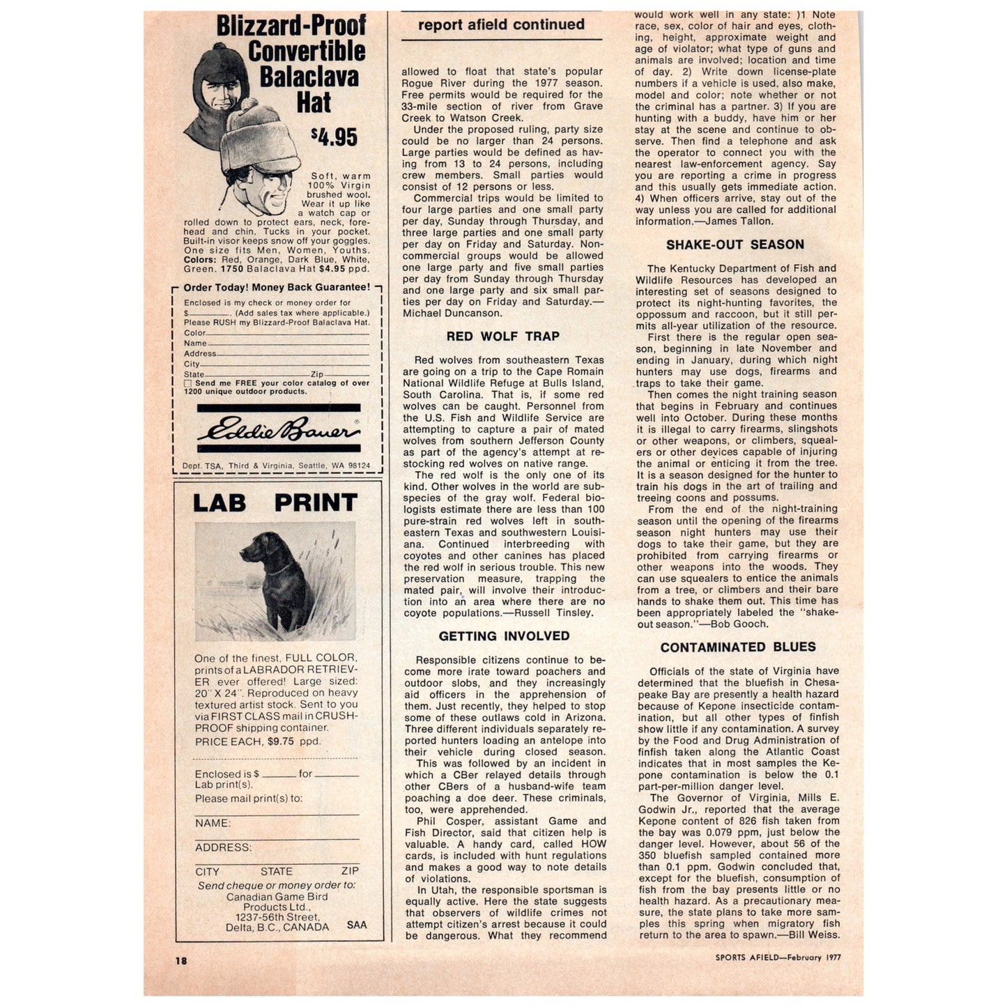 Kool Cigarettes - Why Put Up With Hot Taste? 1977 Ad D25