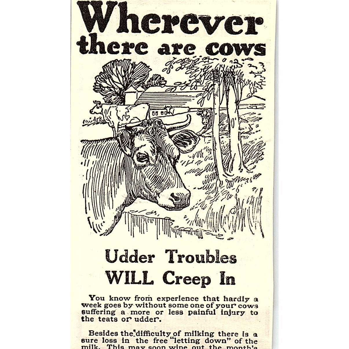 Pisgah Maid Hosiery Co Ladies Silk Hose Hendersonville NC 1924 Ad AG3-M3