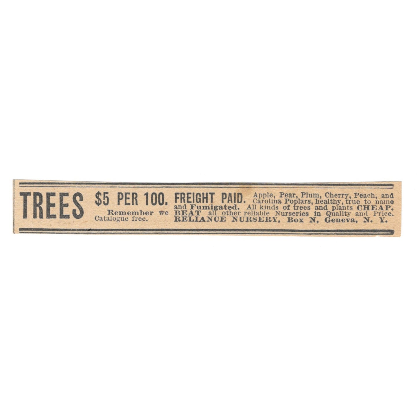 Trees - Reliance Nursery Geneva NY 1905 Magazine Ad AF1-NH3