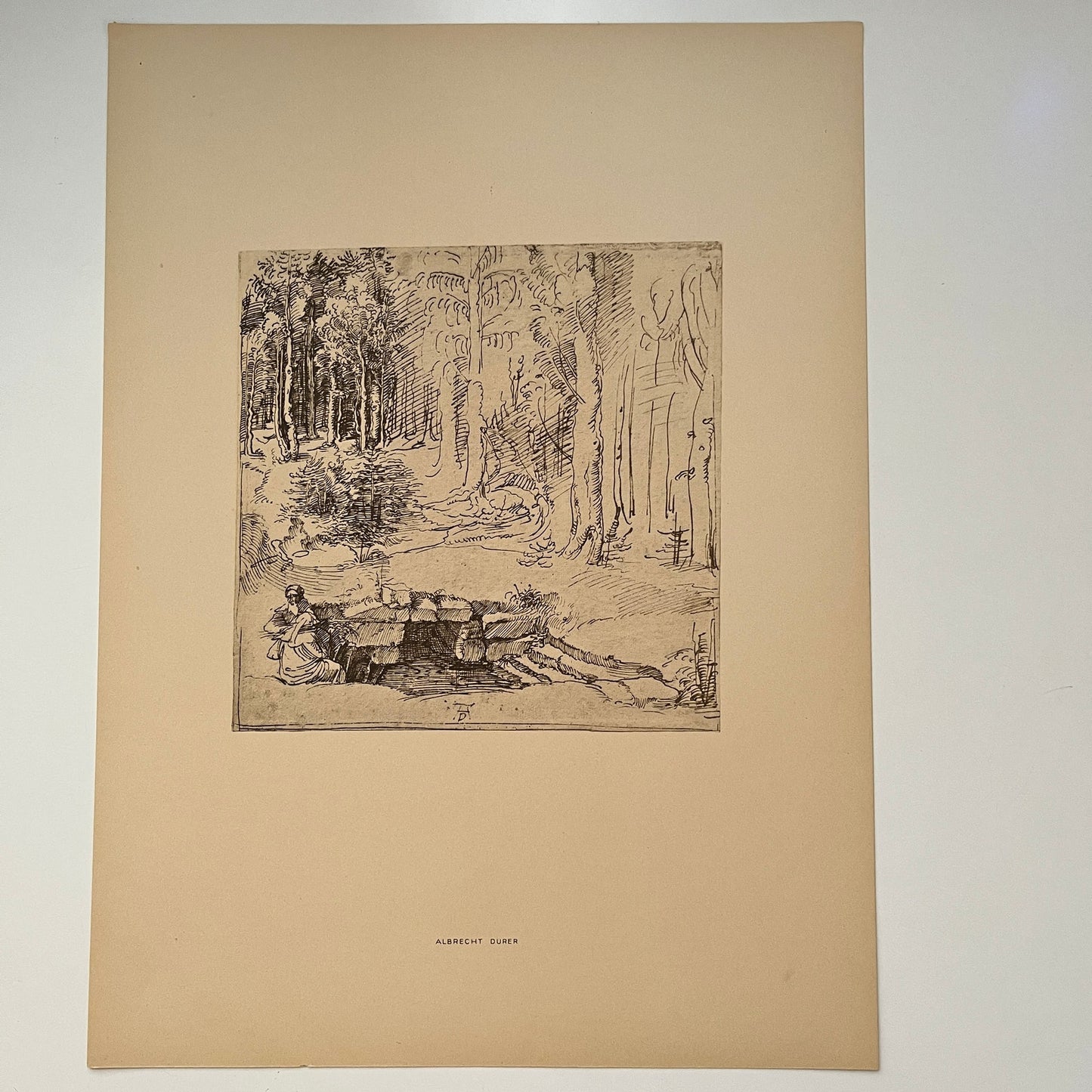 Spring in the Woods - Albrecht Dürer - 1936 Art Print Plate 11.5x15.75" V37-2
