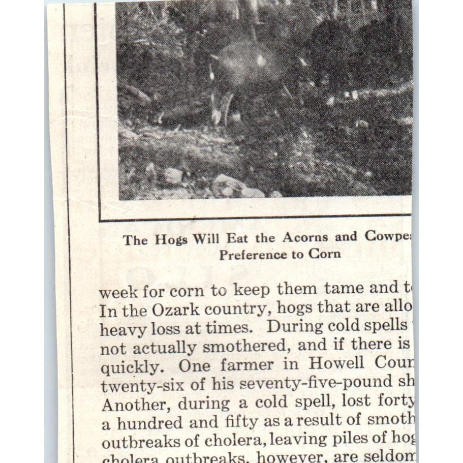 Dixie Culvert & Metal Co American Ingot Iron Silo Middletown 1913 Ad AE7-N7