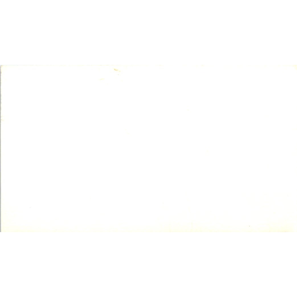 Palletized Trucking Inc B.L. Manry Houston TX Vintage Business Card SD8-B18