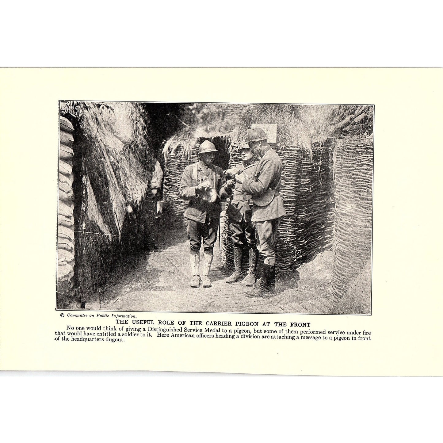 Baghdad Falls to British, Use of Carrier Pigeons 1919 WWI Print AG1-2