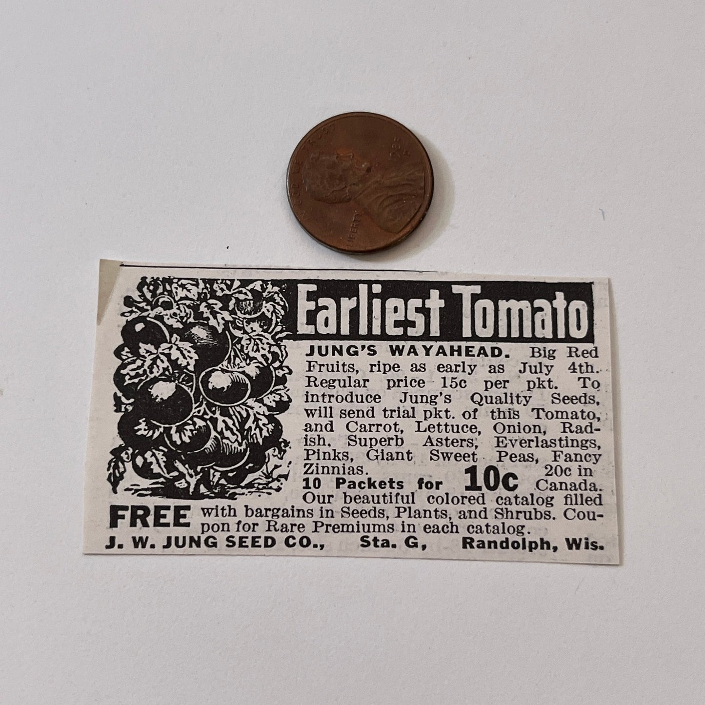 J.W. Jung Seed Co. Jung's Wayahead Randolph WI 1936 Ad SAG4-M4