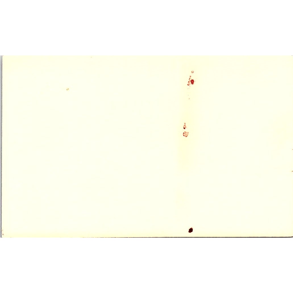 The Tinder Box Clem & Mardi Williams San Diego Freeway Business Card SB4-B2