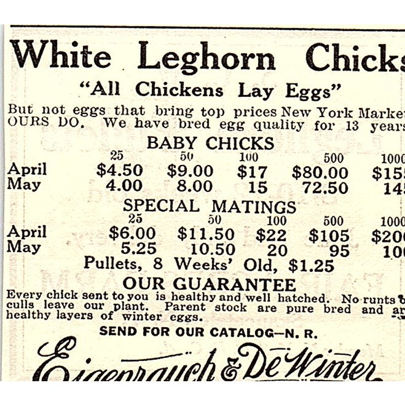 Fair Acres Farm Leghorn Pullets Skaneateles NY 1924 Ad AG3-S18
