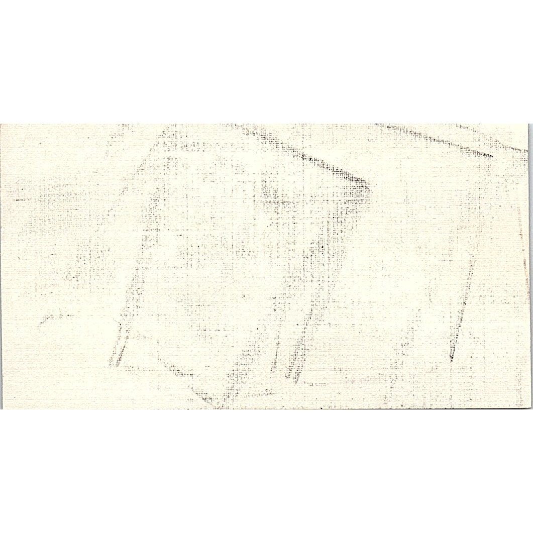 Sea Rail Int'l Charlie Wilson Houston Vintage Business Card SD9-B13