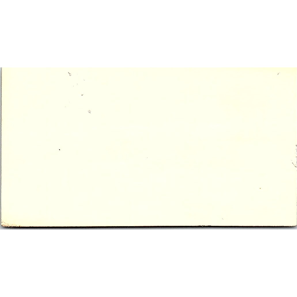 Reco's Flowers, Agnes and Tony Frederic, Bellflower, CA Business Card SF3-B8