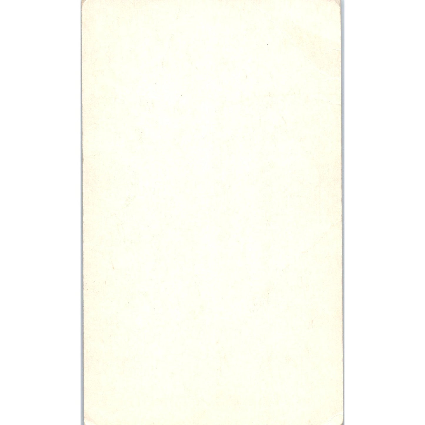 Novena Our Lady of Lourdes Daily Prayer Oblate Fathers San Antonio Card TH2-PC1