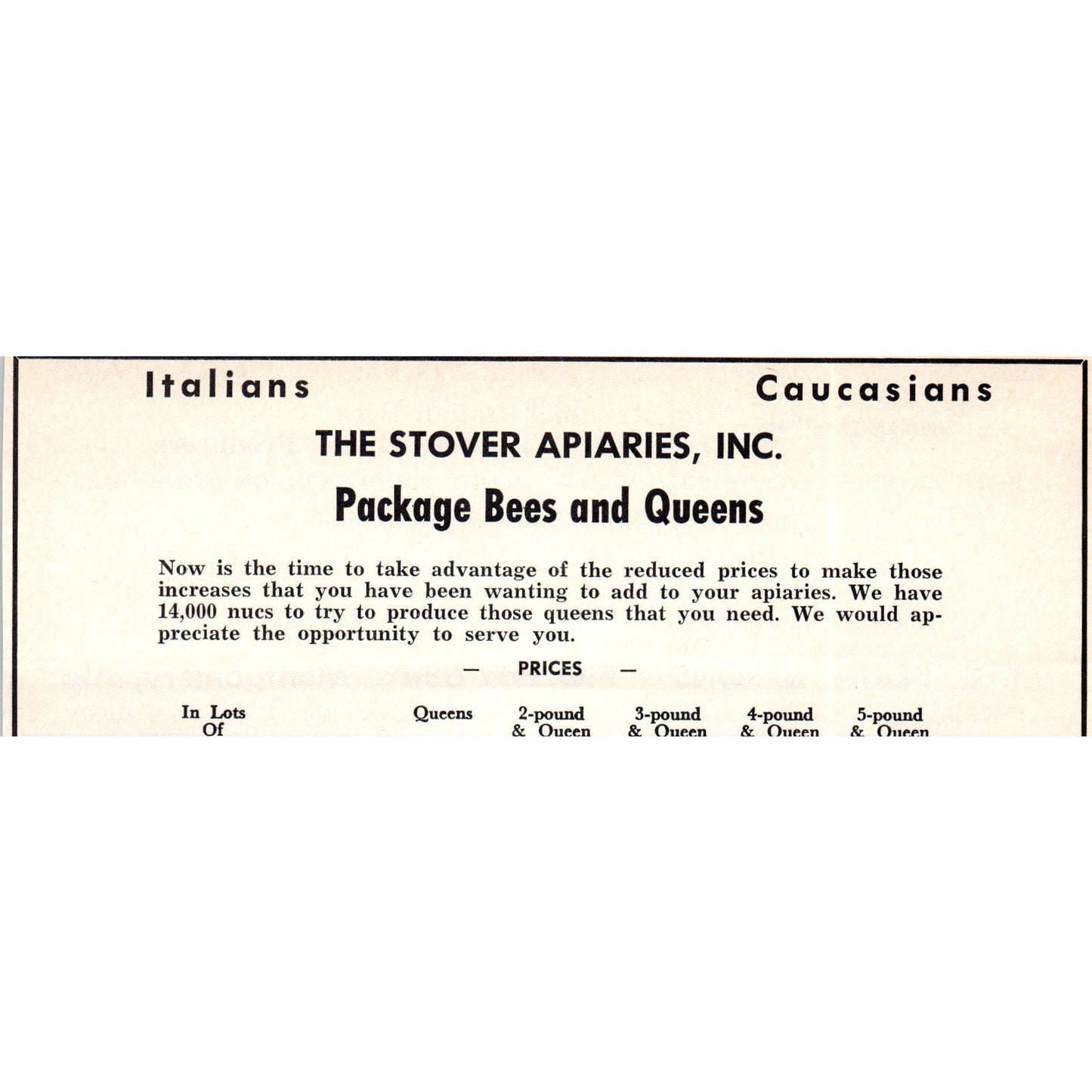 M.C. Berry & Sons Italian Bees Montgomery AL 1964 Magazine Ad AB6-LB