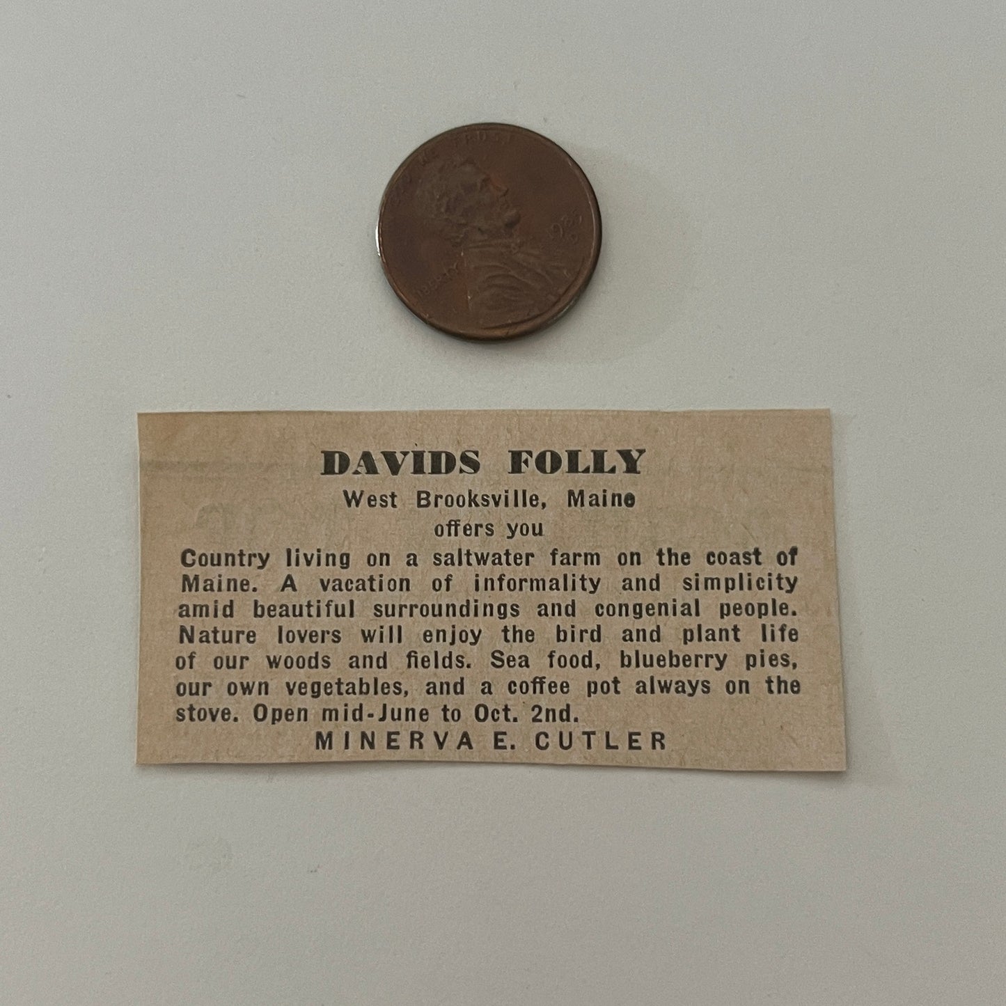 Davids Folly Minerva E. Cutler West Brooksville ME 1971 Magazine Ad SAG4-S17