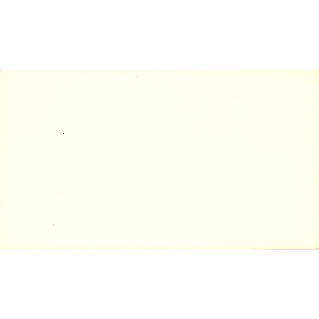 Let the Expert Do It Professional Cleaning Service Vintage Business Card SF3-B9