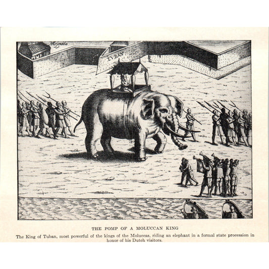 The Pomp of a Moluccan King Elephant Rider 1924 Magazine Clip AF2-A1