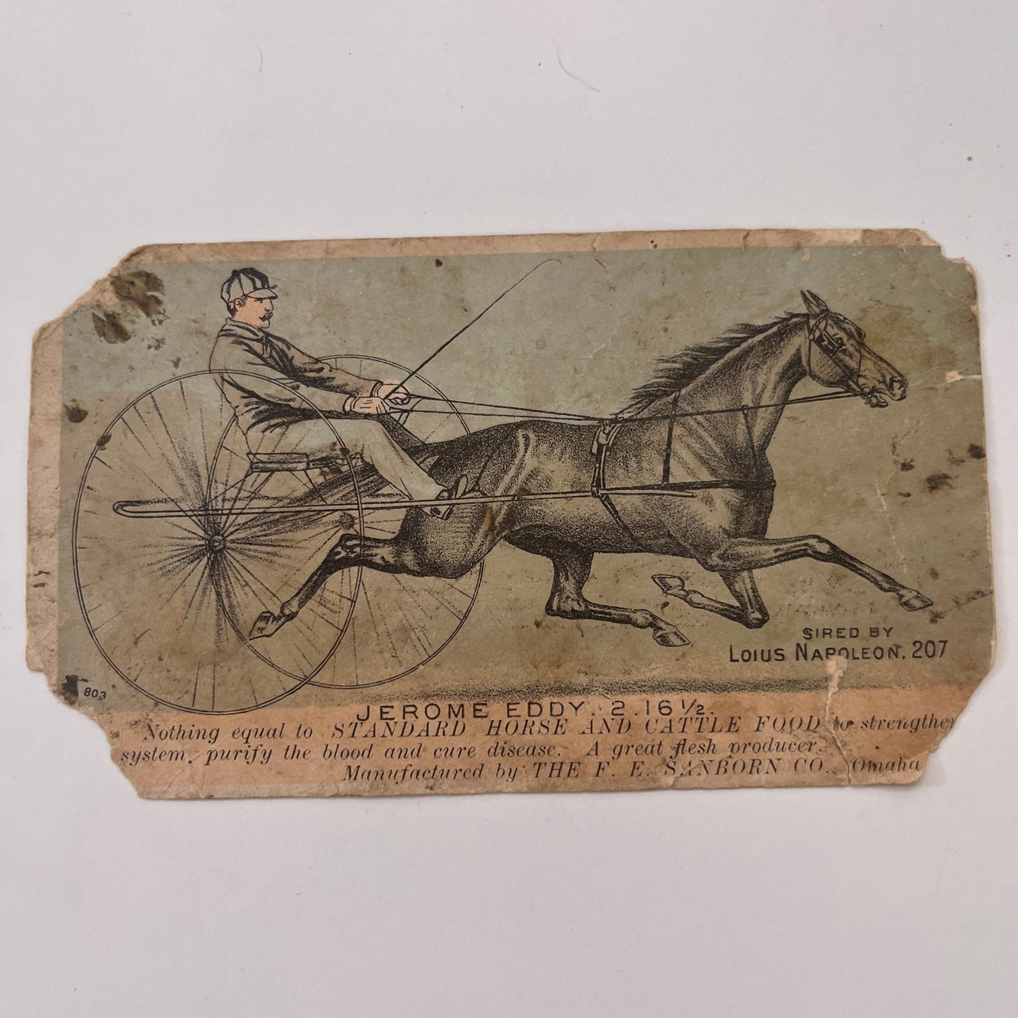Jerome Eddy Horse Food Oldham and Colvin Falmouth 1880s Trade Card AG8-H4