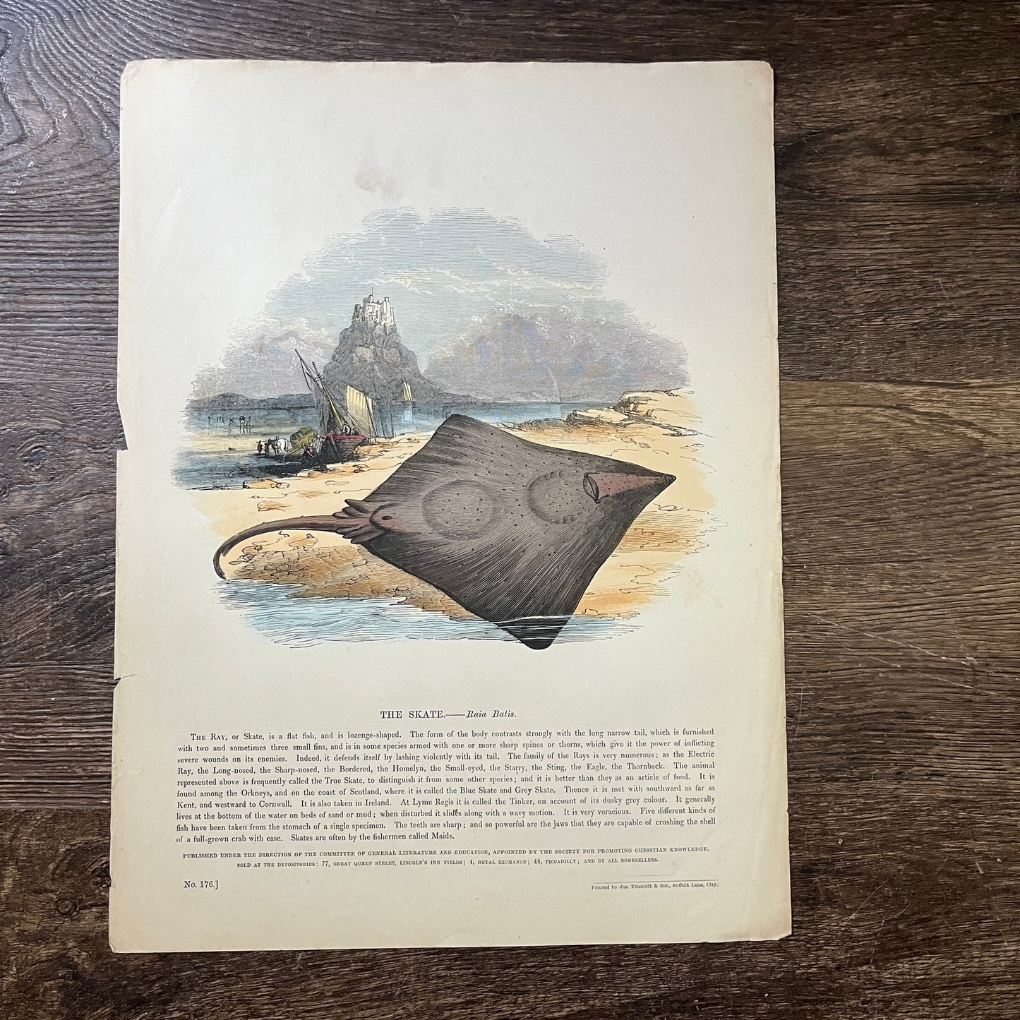 1843 The Skate Tinted Engraving Society Promoting Christian Knowledge 11x15 V3