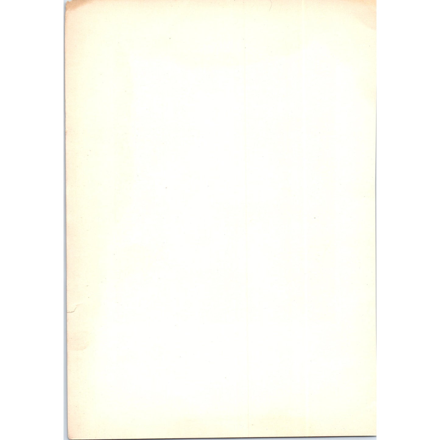 The Meyer Madonna - Holbein 1900 Victorian Art Print AB8-MA8