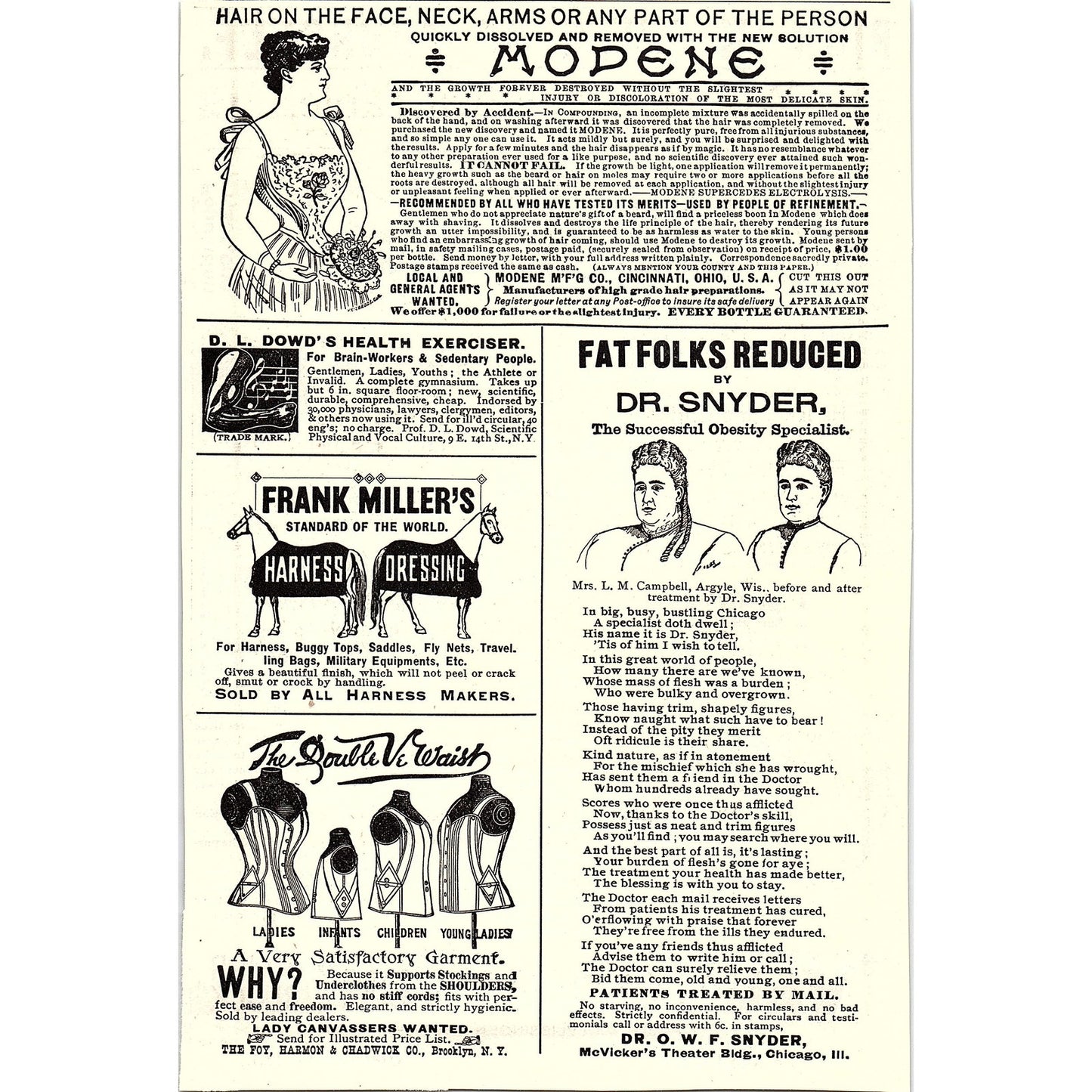 Roseland Neighborhood Real Estate J.H Van Vlissingen & Bro Chicago 1892 Ad AG2-8