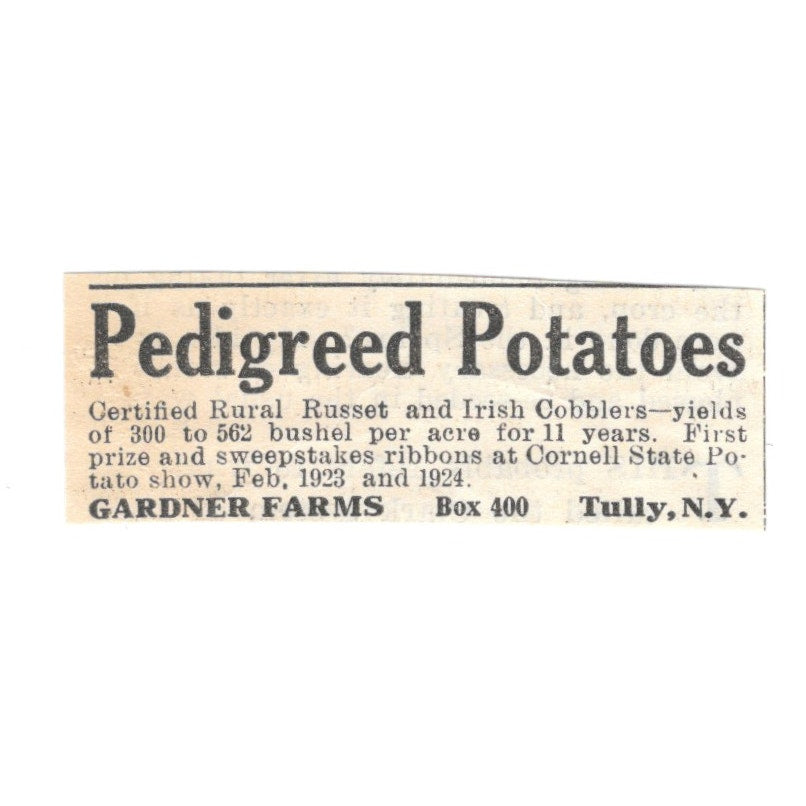 Gardner Farms Pedigreed Potatoes Tully NY 1924 Ad AG3-S2