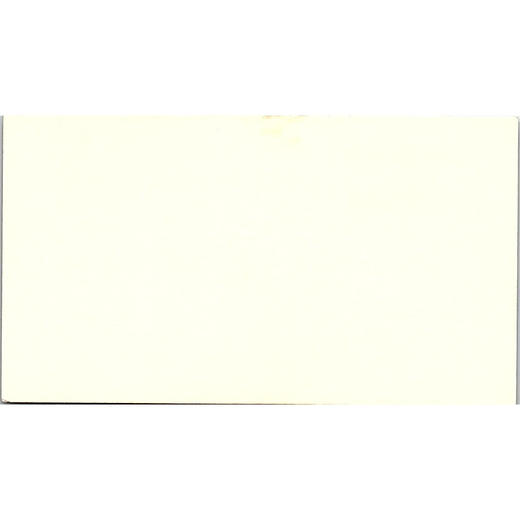 Capt Mokhtar I Noureddin United Arab Shipping Co NY Vintage Business Card SC9-B3