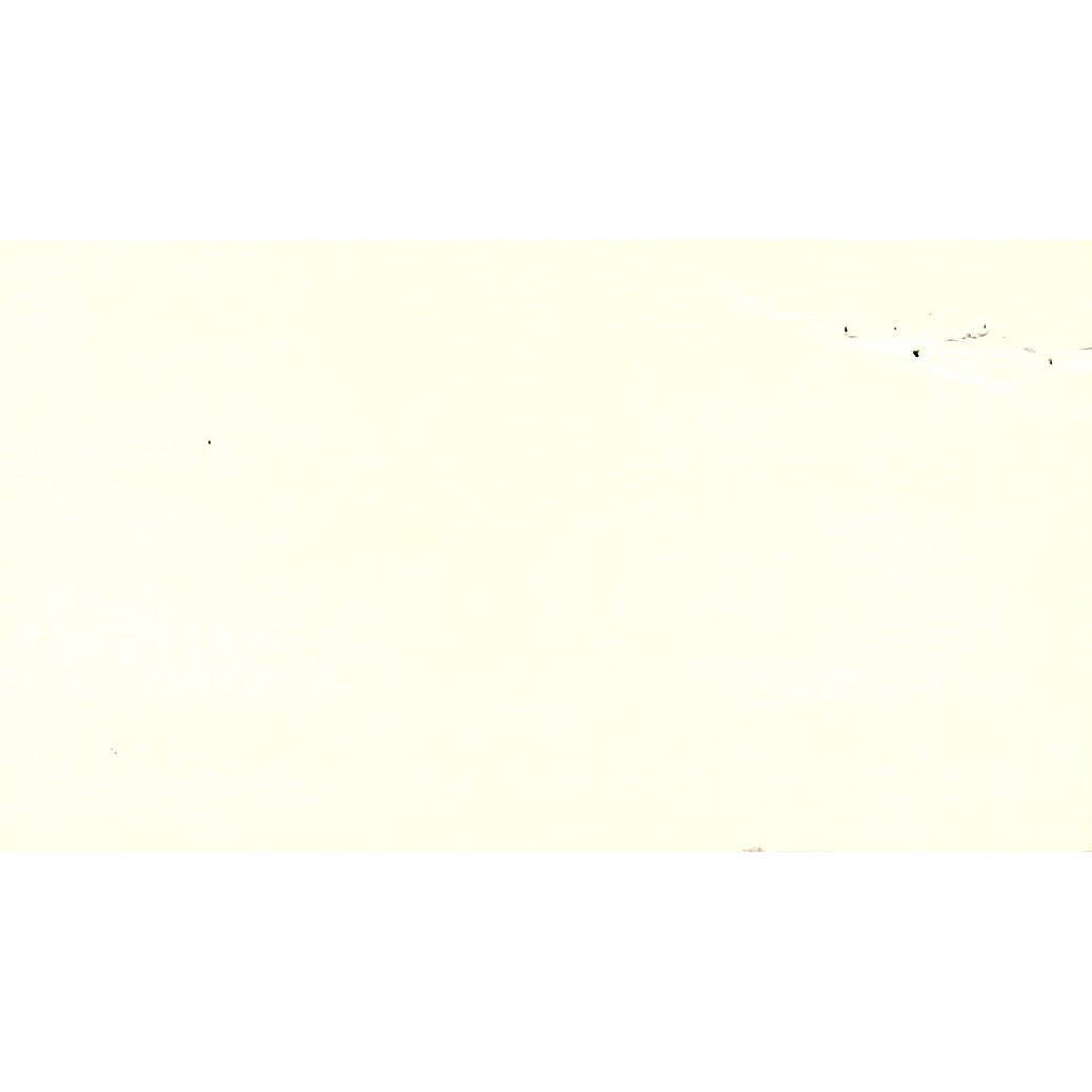 Garland Green Big State Vending Co Houston Vintage Business Card SE5-B1