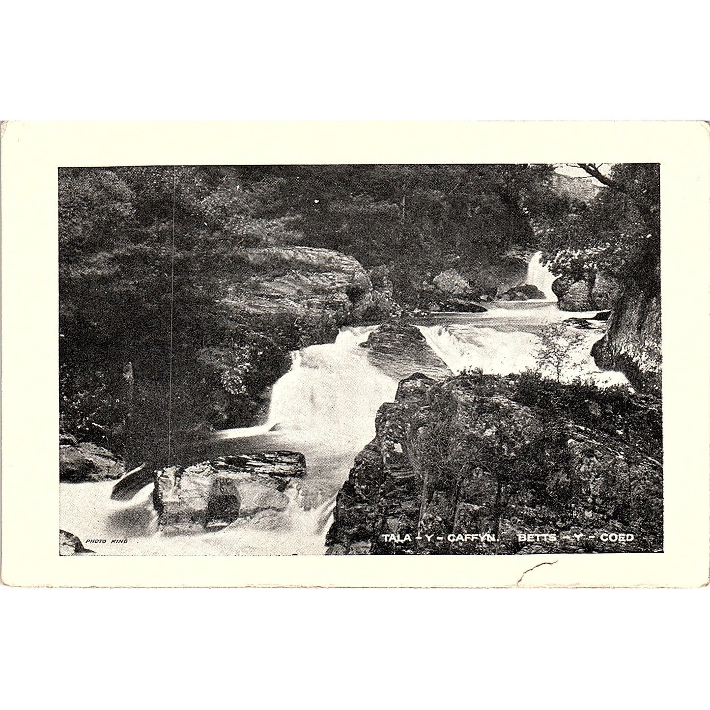 Tala Y Caffyn Betts Y Coed French Antique Postcard PE11