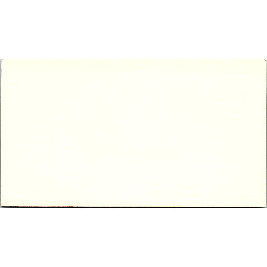 Isopad Engineered Heat Tracing Robert E Williams Houston TX Business Card SF3-B5