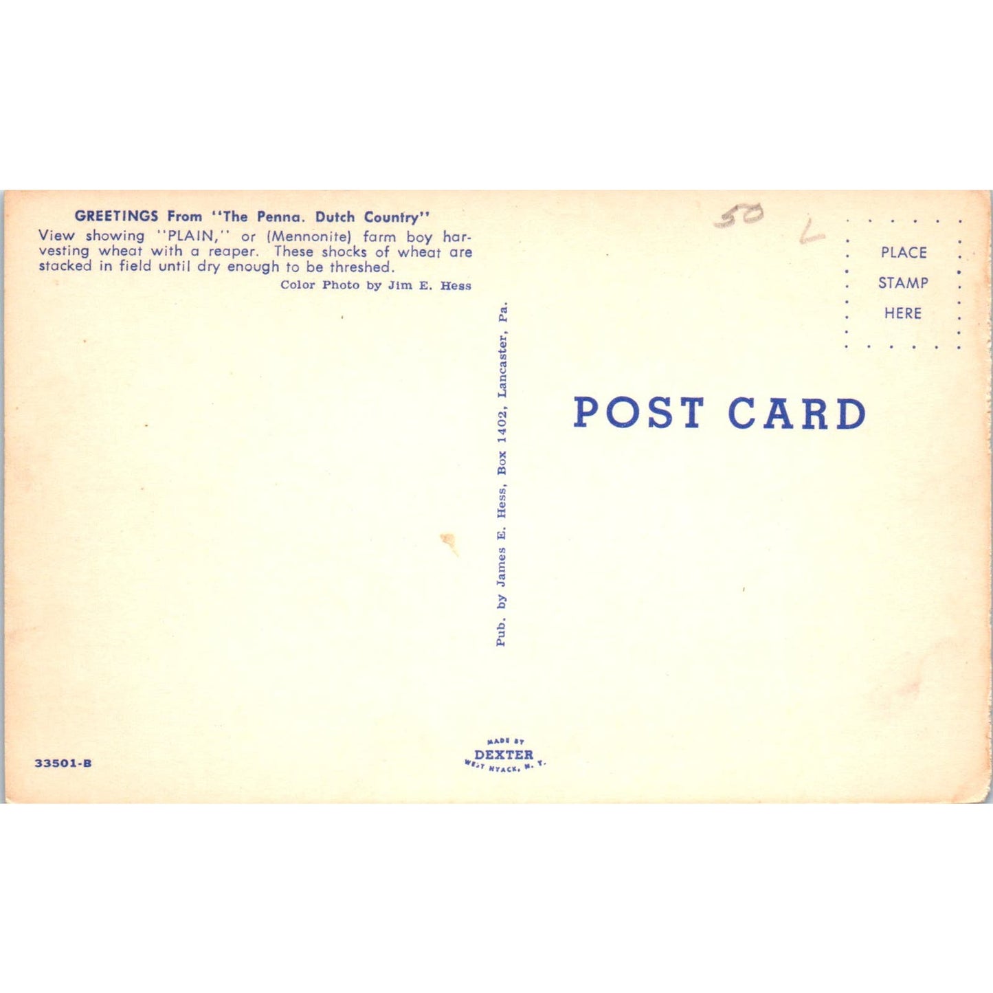 Mennonite Farm Boy Harvesting Wheat PA Dutch Country Vintage Postcard PD4