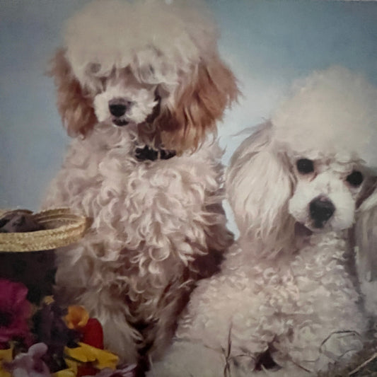 Retro Kitsch Pretty Poodles 6x9" Art Print V23