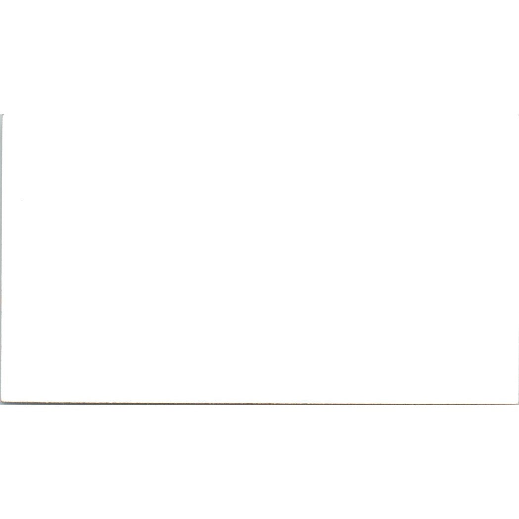 Dan E. Timmins Jr Vyvx Houston TX Vintage Business Card SD8-B19