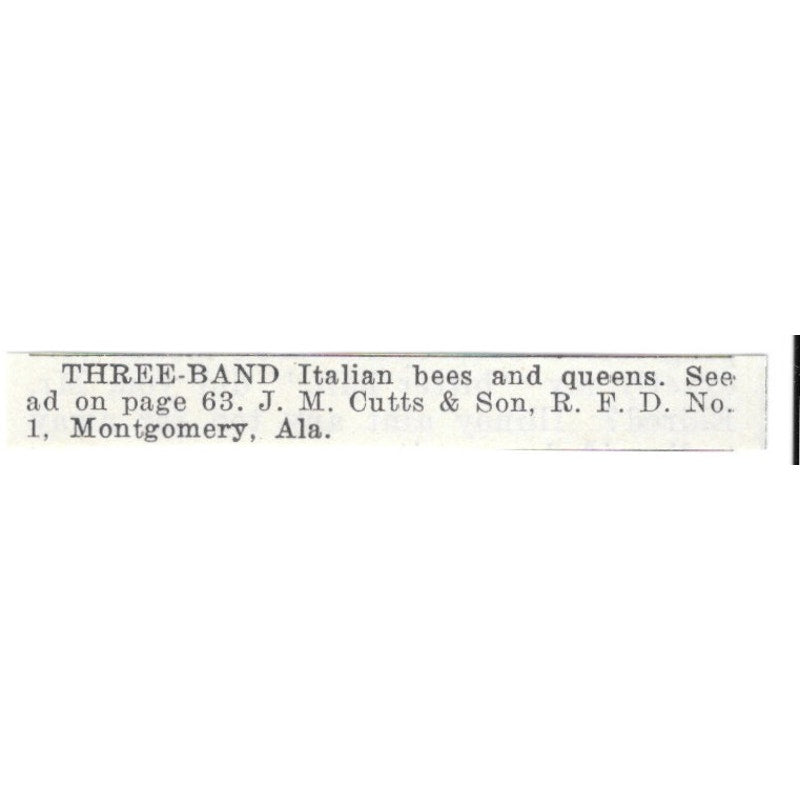 J.M. Cutts & Son Three-Band Italian Bees Montgomery AL 1926 Ad AG3-S21