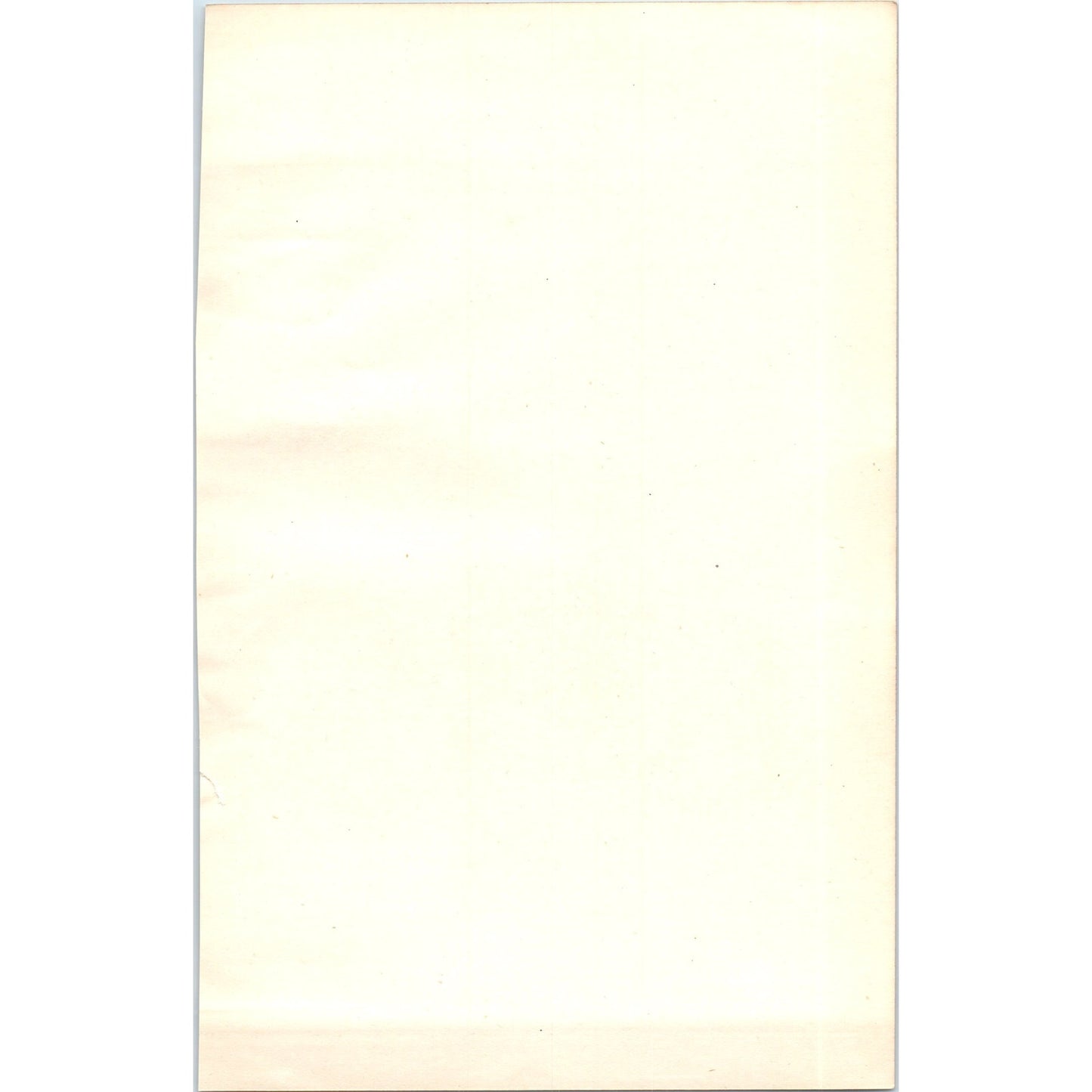 Woodlark Bird 1903 Original Color Engraving Plate Print AD8-B4