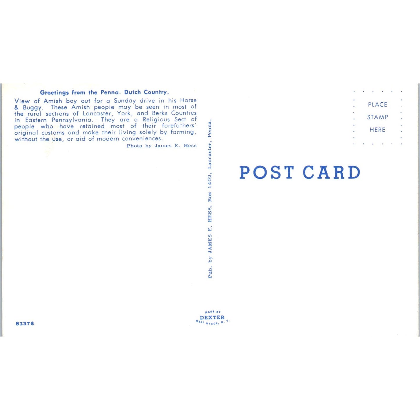 Amish Boy on Sunday Buggy Ride Pennsylvania Dutch Country Postcard PD8